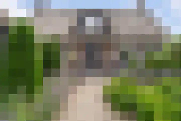 Moleneindsestraat 2 Hoeven thumbnail 6