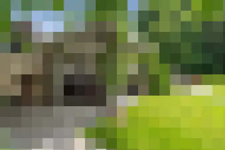 Moleneindsestraat 2 Hoeven thumbnail 60
