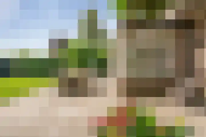 Moleneindsestraat 2 Hoeven thumbnail 63