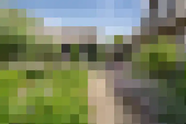 Moleneindsestraat 2 Hoeven thumbnail 64