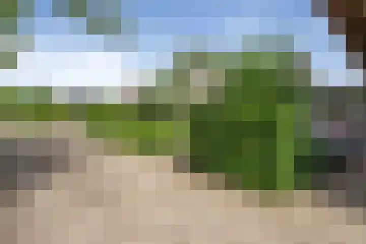 Moleneindsestraat 2 Hoeven thumbnail 65