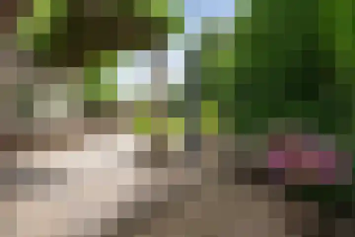 Moleneindsestraat 2 Hoeven thumbnail 66