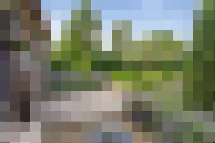 Moleneindsestraat 2 Hoeven thumbnail 70