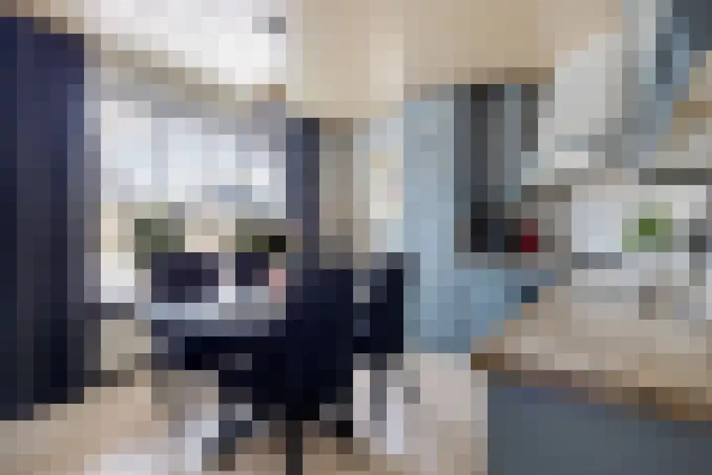 Moleneindsestraat 32 Hoeven thumbnail 10