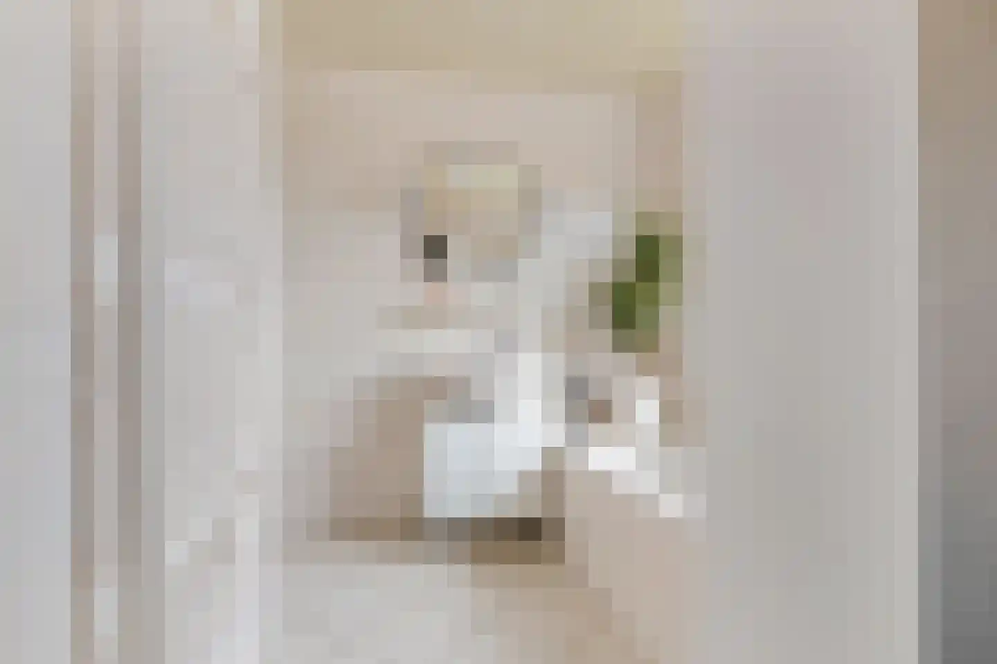 Moleneindsestraat 32 Hoeven thumbnail 14
