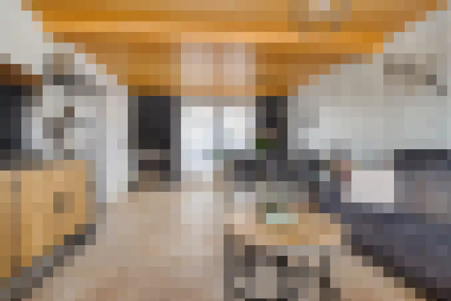Moleneindsestraat 32 Hoeven thumbnail 19