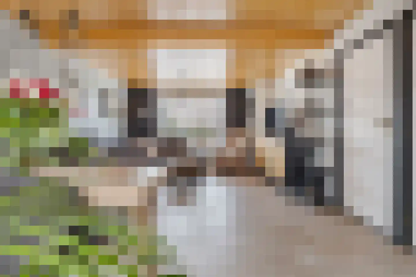 Moleneindsestraat 32 Hoeven thumbnail 20
