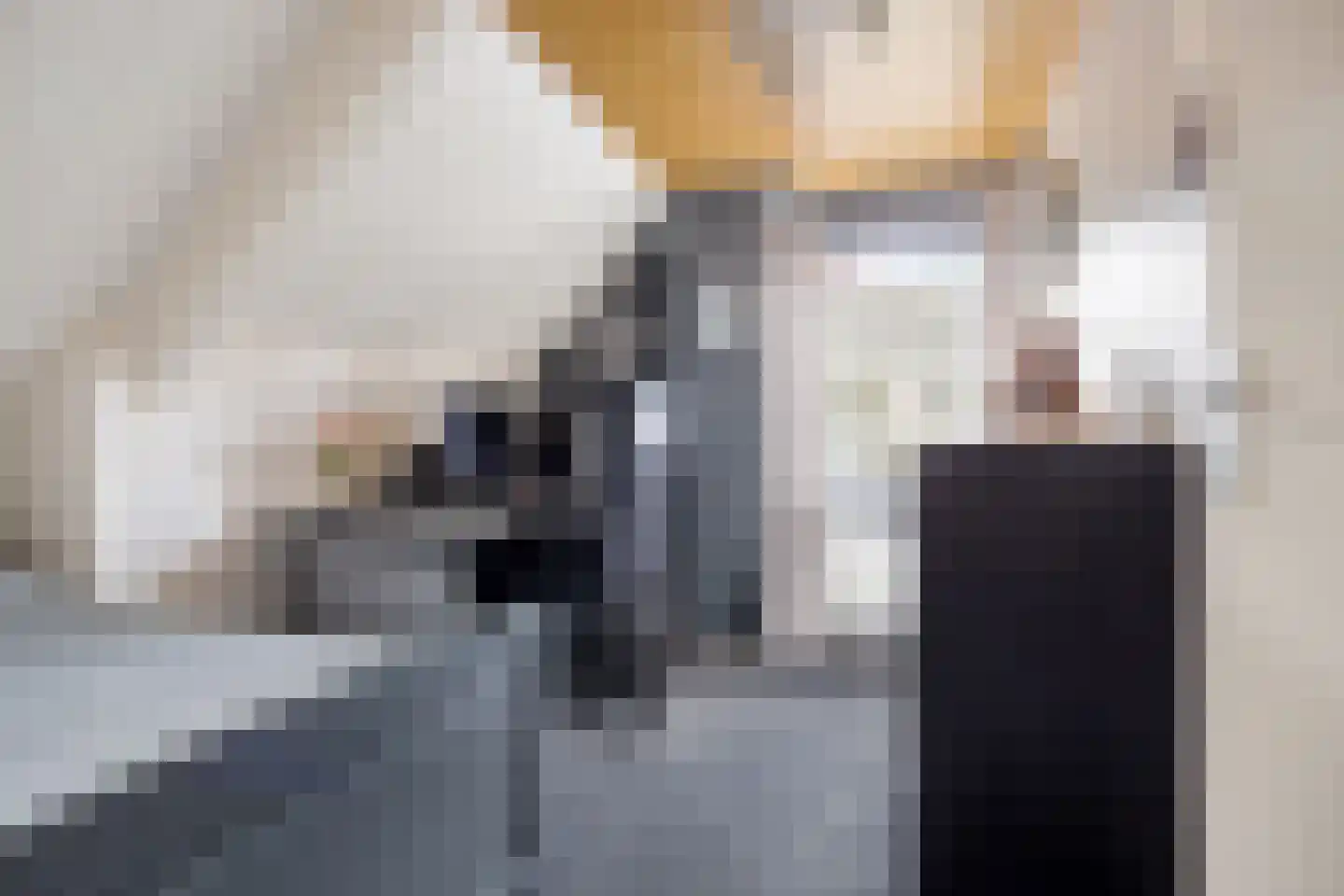 Moleneindsestraat 32 Hoeven thumbnail 28