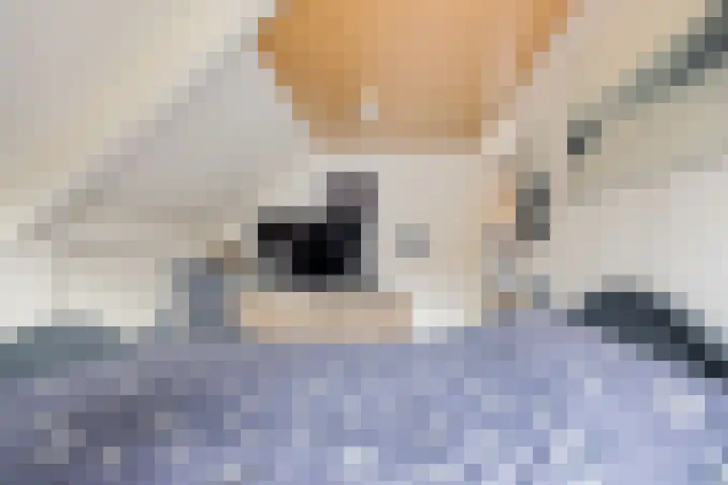 Moleneindsestraat 32 Hoeven thumbnail 32
