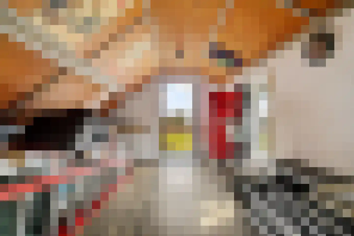 Moleneindsestraat 32 Hoeven thumbnail 36