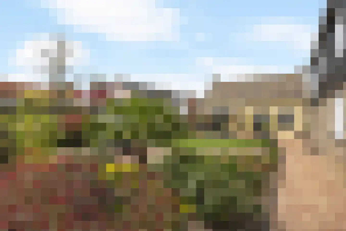 Moleneindsestraat 32 Hoeven thumbnail 41