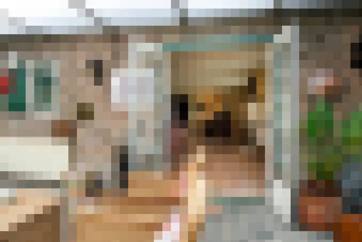 Moleneindsestraat 8 Hoeven thumbnail 10