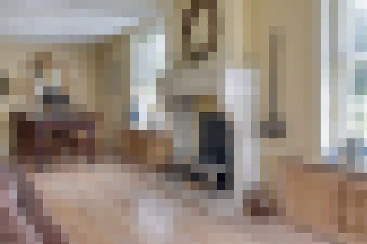 Moleneindsestraat 8 Hoeven thumbnail 14