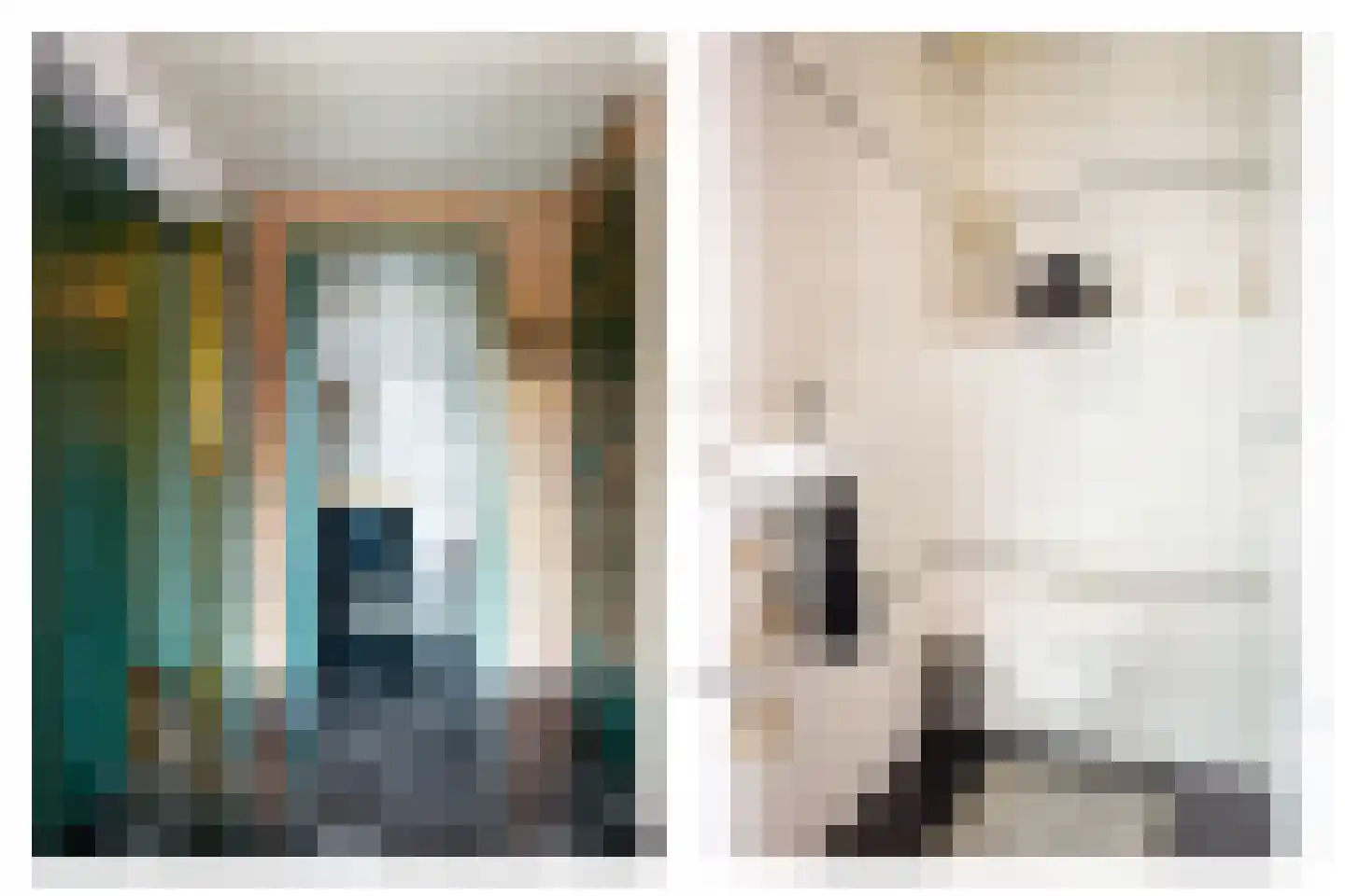 Moleneindsestraat 8 Hoeven thumbnail 15