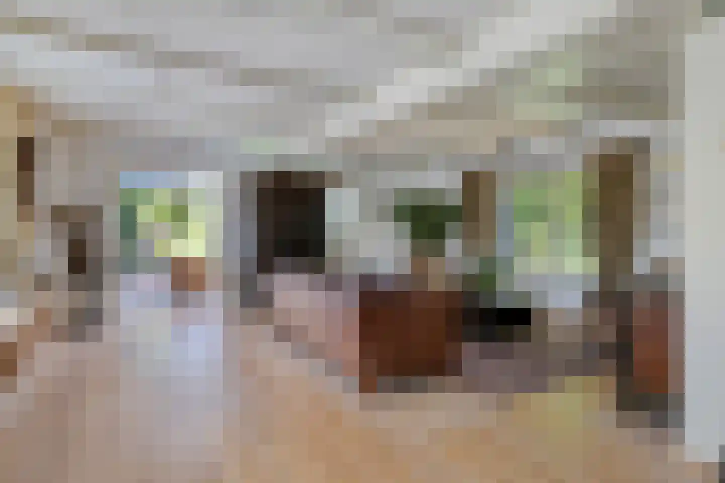 Moleneindsestraat 8 Hoeven thumbnail 16