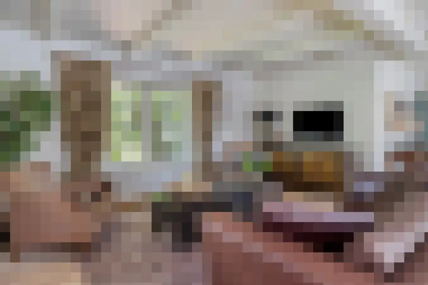 Moleneindsestraat 8 Hoeven thumbnail 18