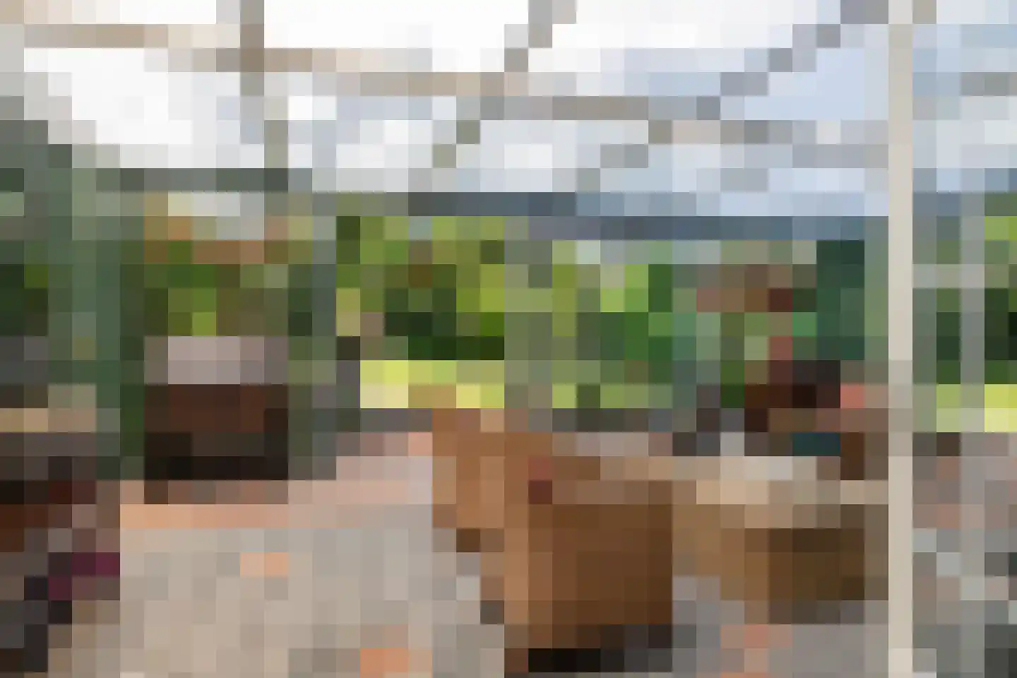 Moleneindsestraat 8 Hoeven thumbnail 19