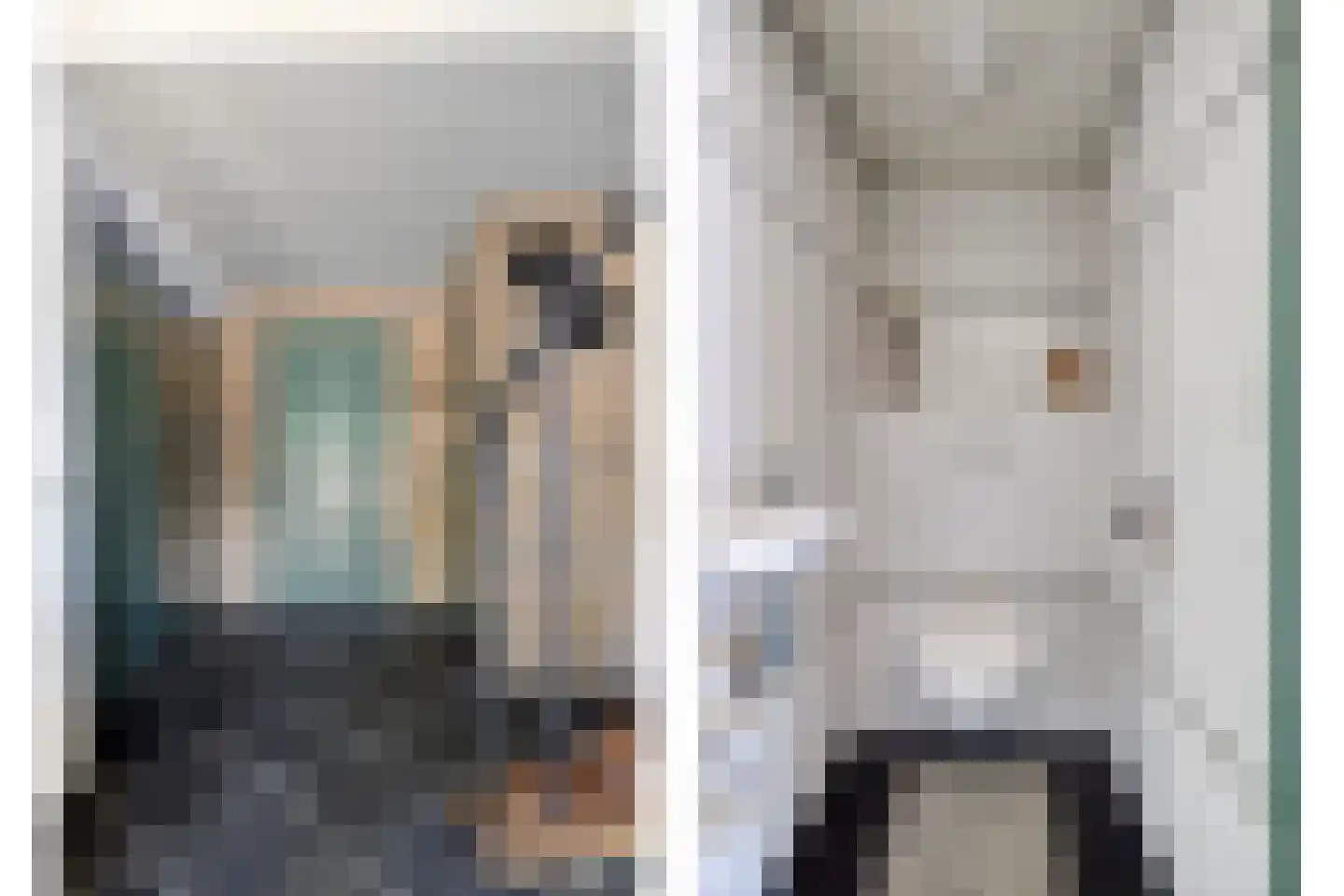Moleneindsestraat 8 Hoeven thumbnail 26