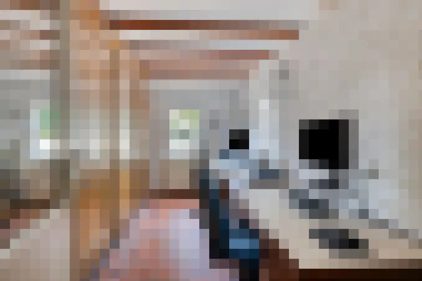 Moleneindsestraat 8 Hoeven thumbnail 27