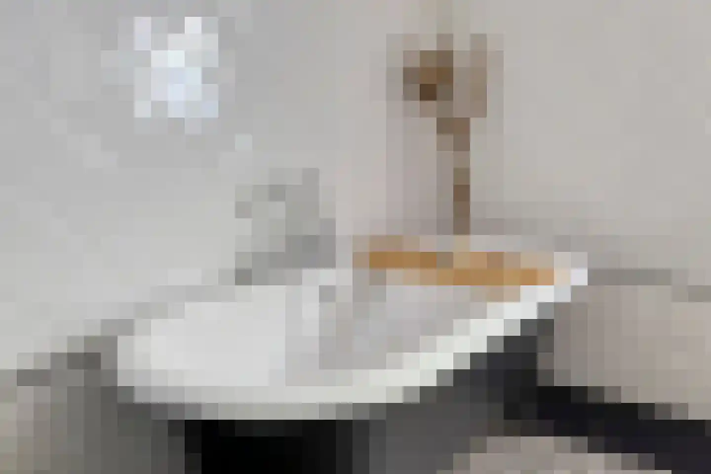 Moleneindsestraat 8 Hoeven thumbnail 29