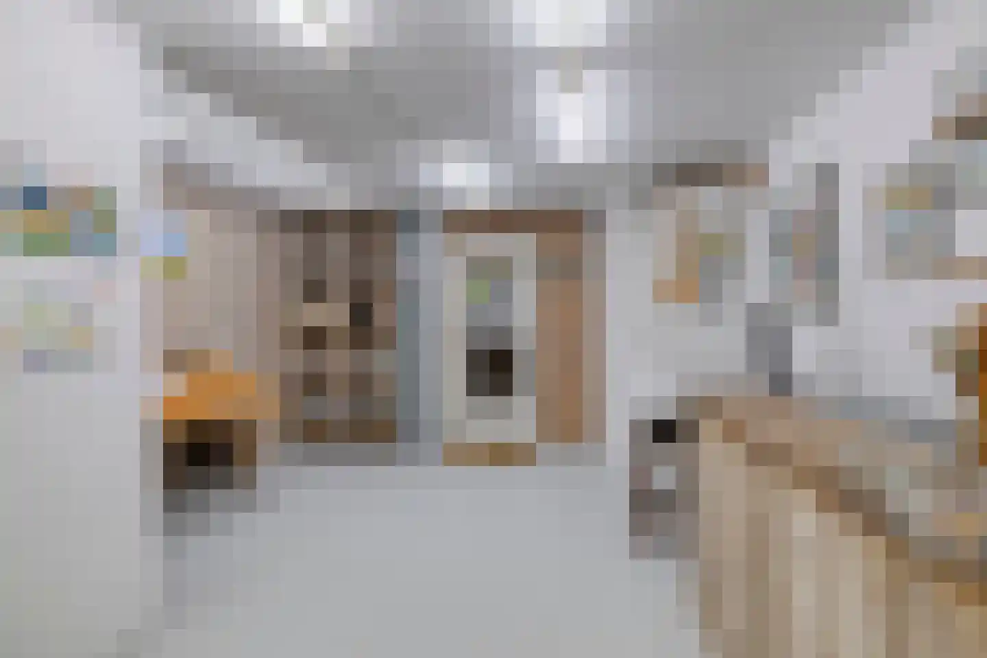 Moleneindsestraat 8 Hoeven thumbnail 30