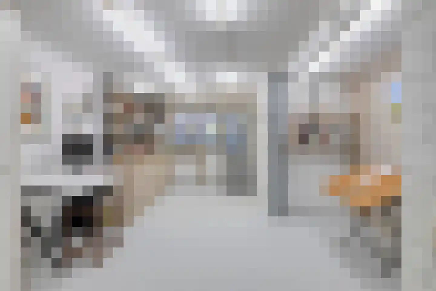 Moleneindsestraat 8 Hoeven thumbnail 31