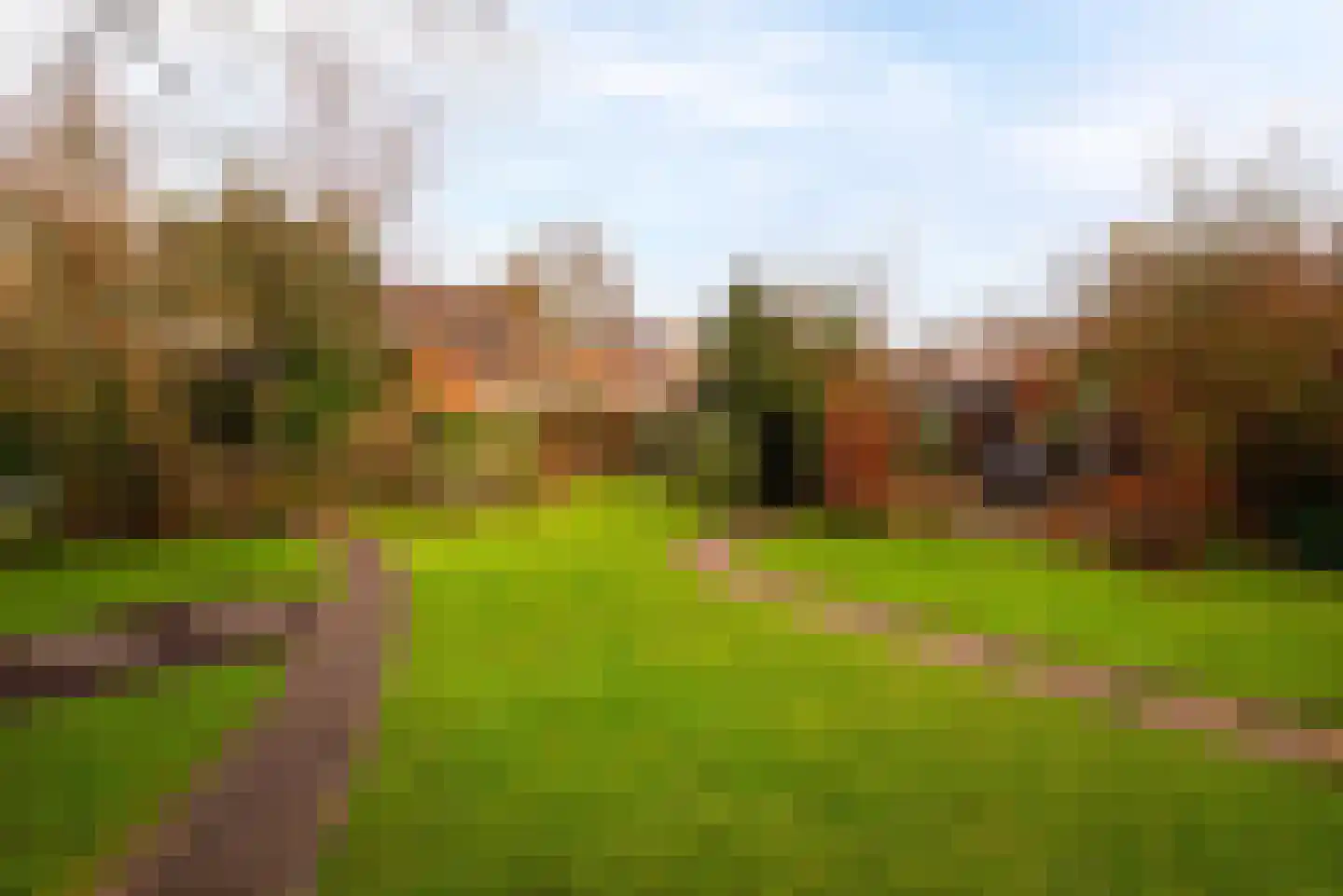 Moleneindsestraat 8 Hoeven thumbnail 32