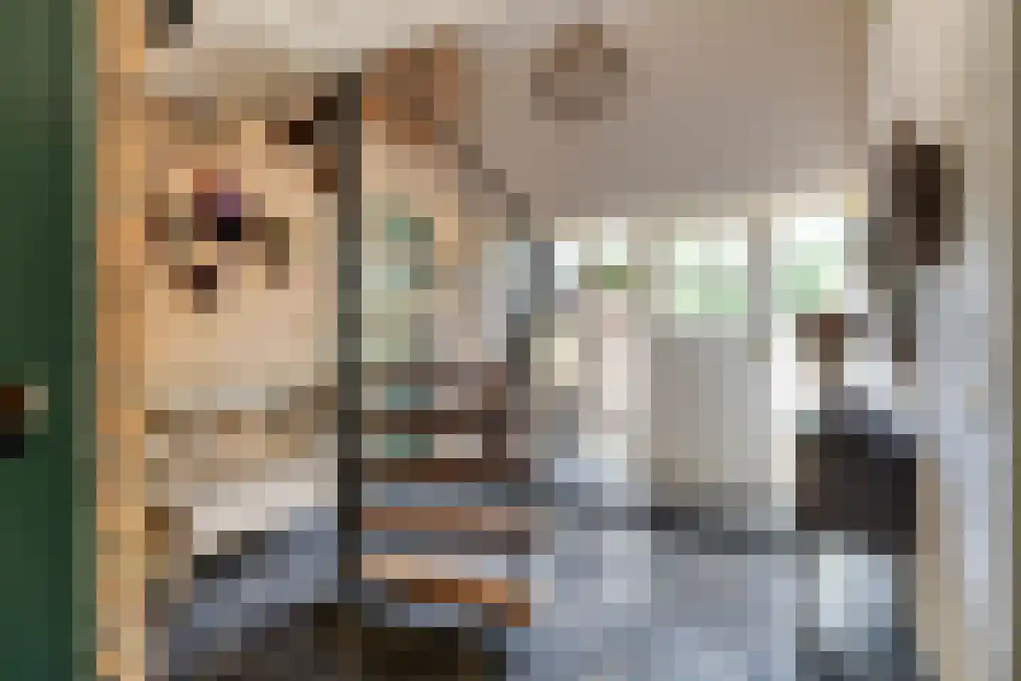 Moleneindsestraat 8 Hoeven thumbnail 32