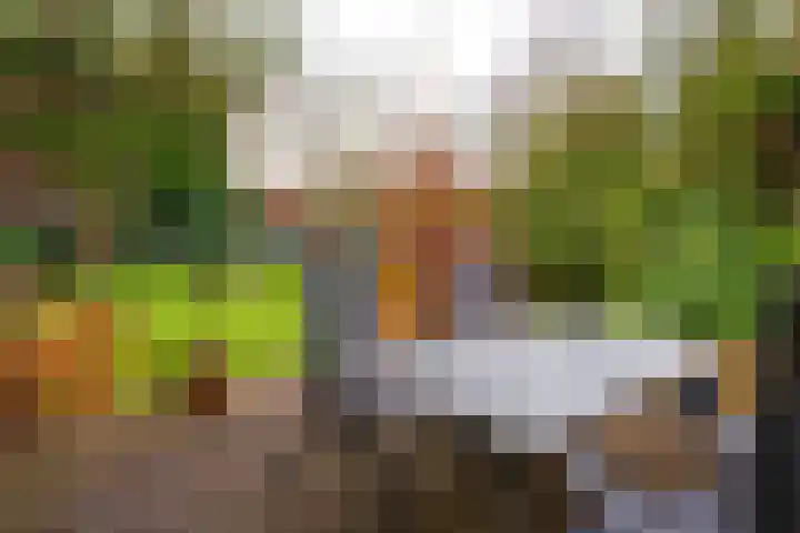 Moleneindsestraat 8 Hoeven thumbnail 33