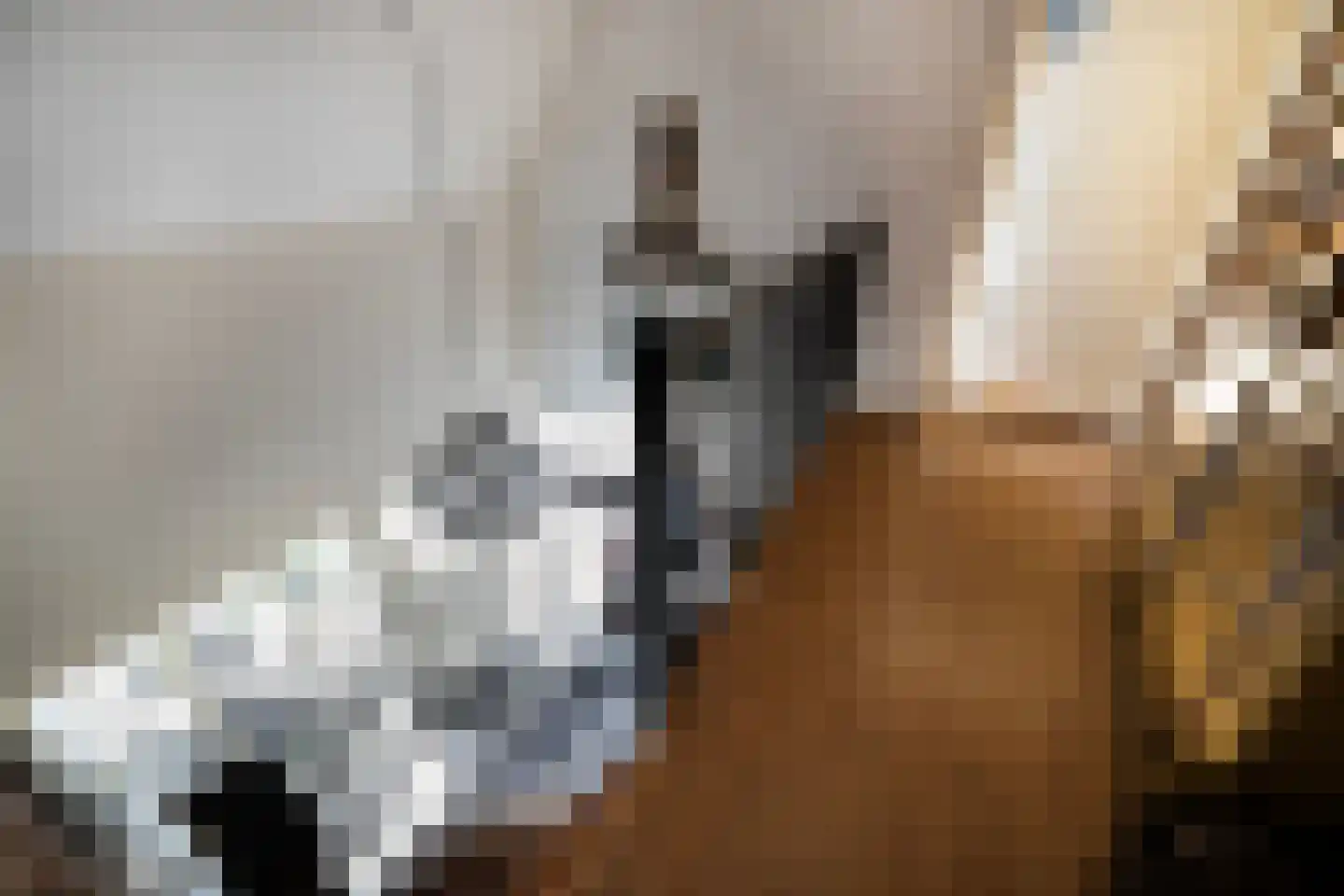 Moleneindsestraat 8 Hoeven thumbnail 33