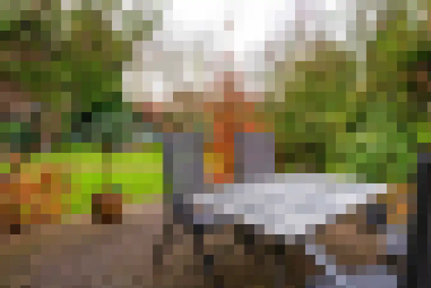 Moleneindsestraat 8 Hoeven thumbnail 33