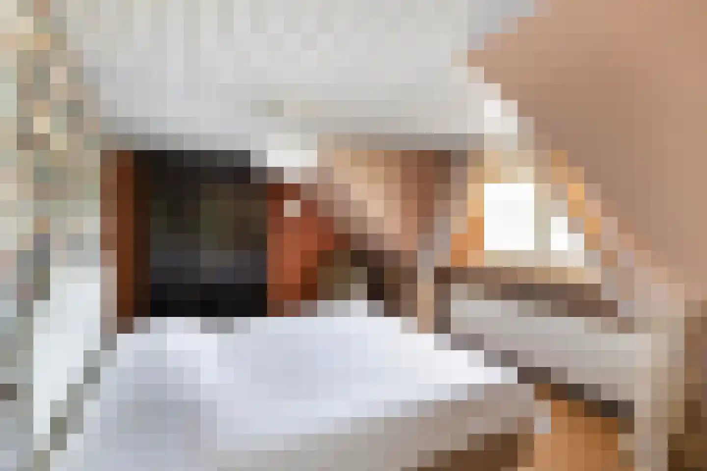 Moleneindsestraat 8 Hoeven thumbnail 35