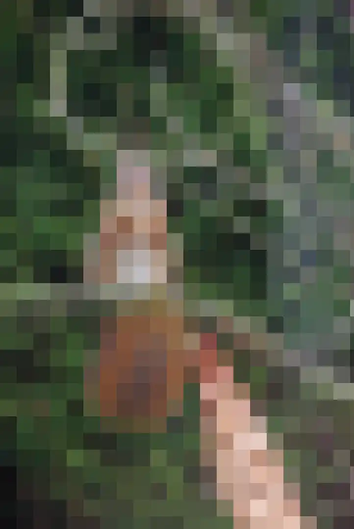 Moleneindsestraat 8 Hoeven thumbnail 35