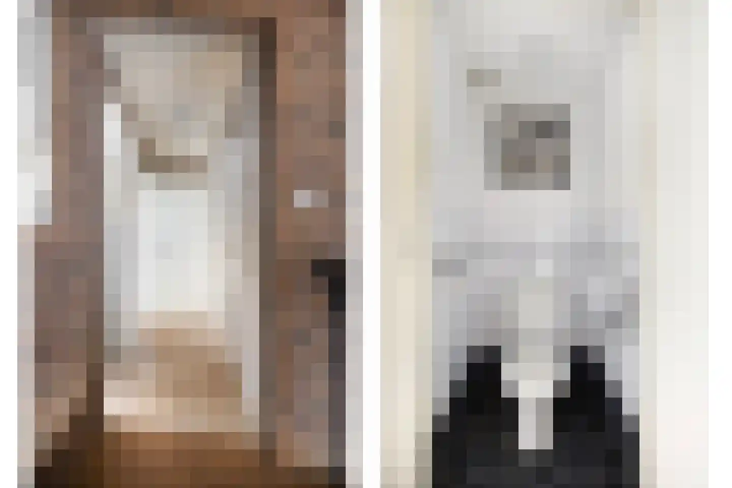 Moleneindsestraat 8 Hoeven thumbnail 37