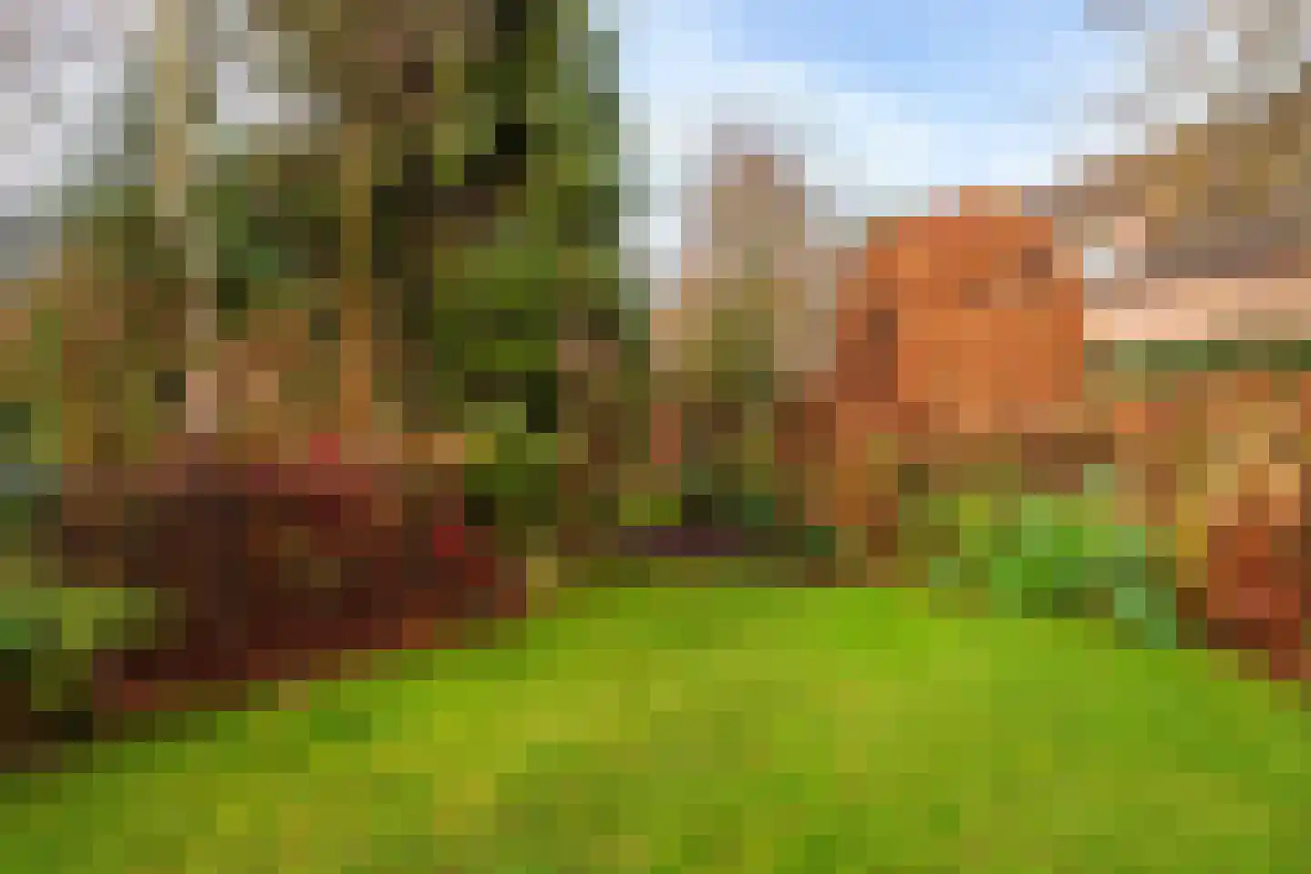 Moleneindsestraat 8 Hoeven thumbnail 37