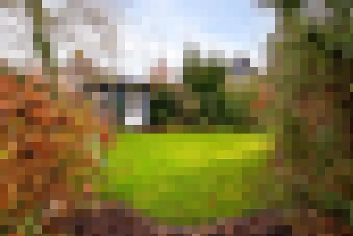 Moleneindsestraat 8 Hoeven thumbnail 38