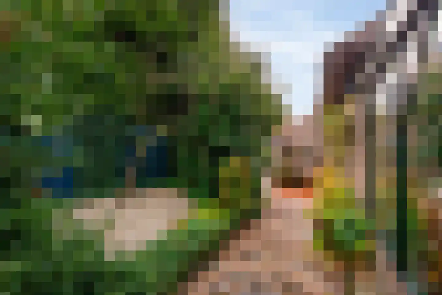Moleneindsestraat 8 Hoeven thumbnail 39
