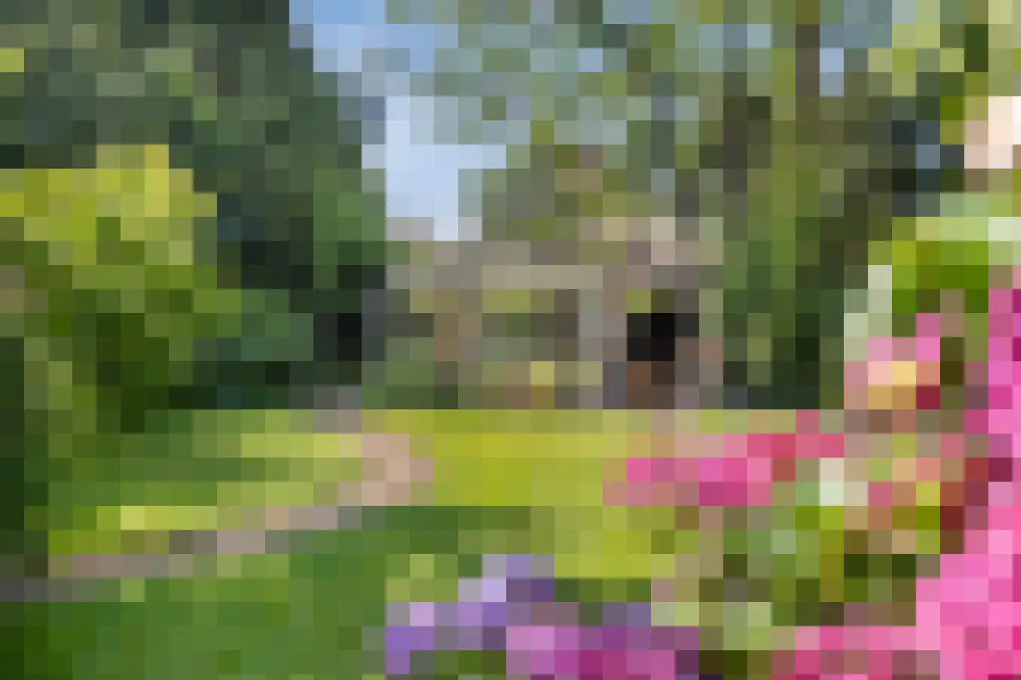 Moleneindsestraat 8 Hoeven thumbnail 4