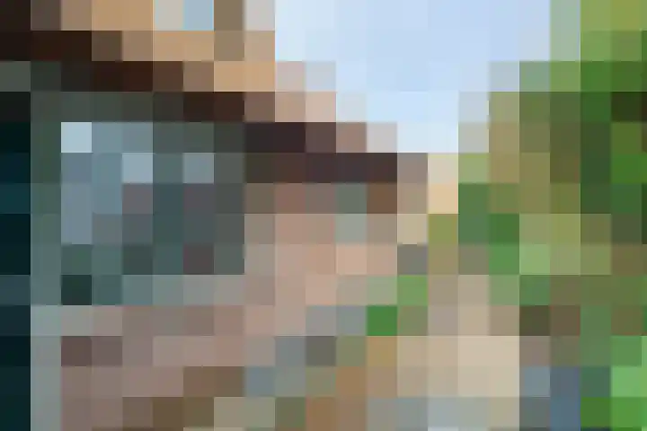 Moleneindsestraat 8 Hoeven thumbnail 40
