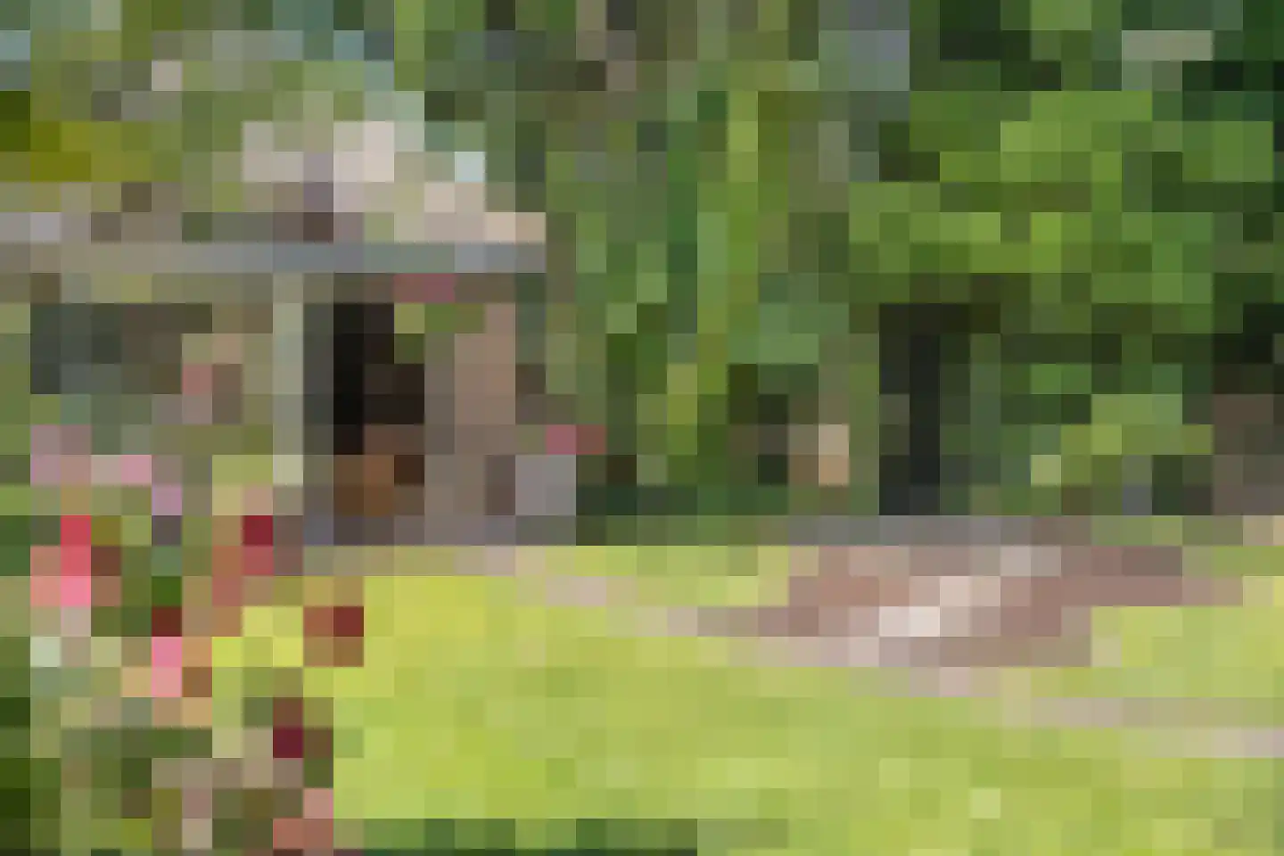 Moleneindsestraat 8 Hoeven thumbnail 41