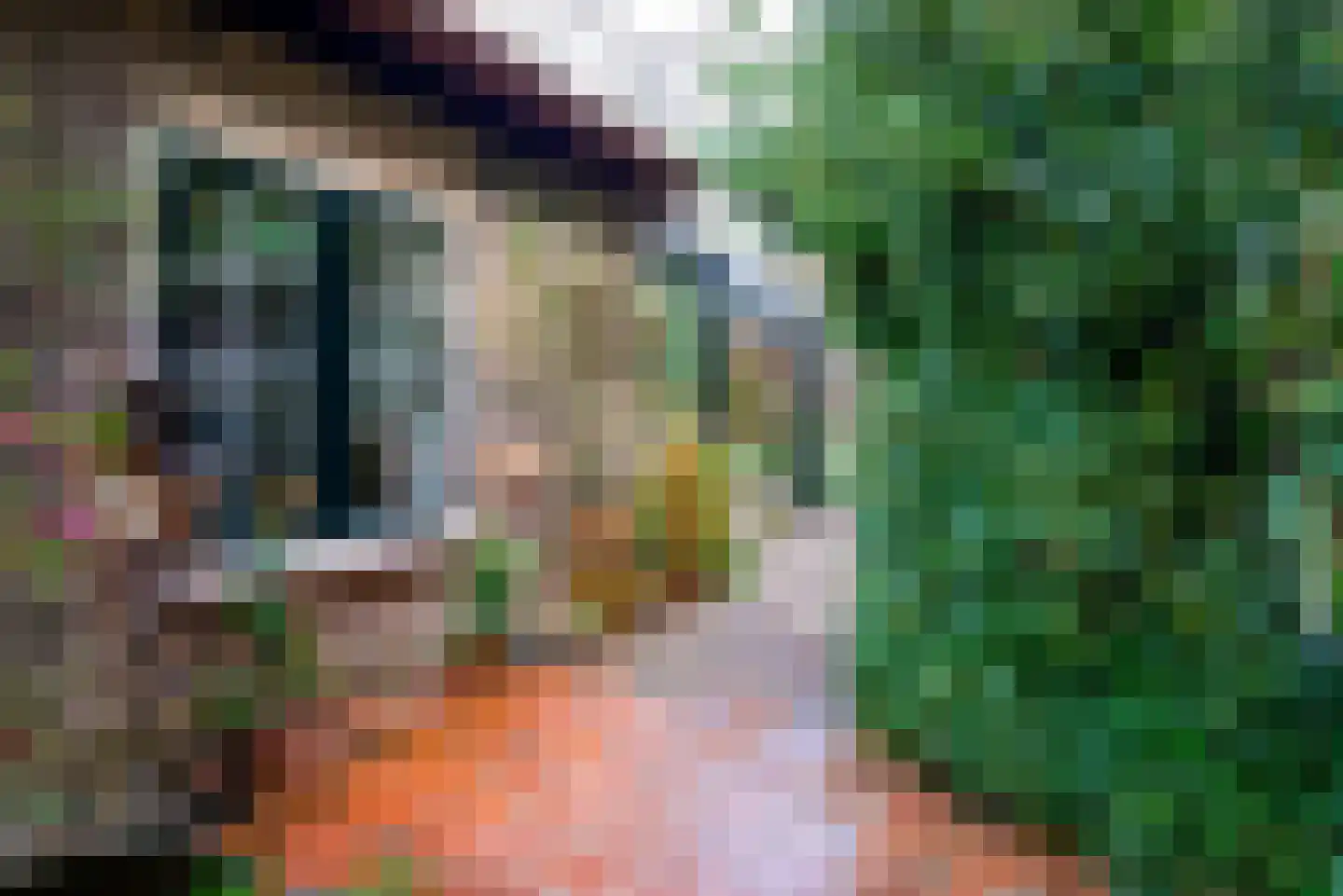 Moleneindsestraat 8 Hoeven thumbnail 42