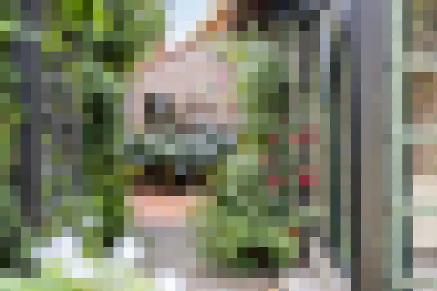 Moleneindsestraat 8 Hoeven thumbnail 42