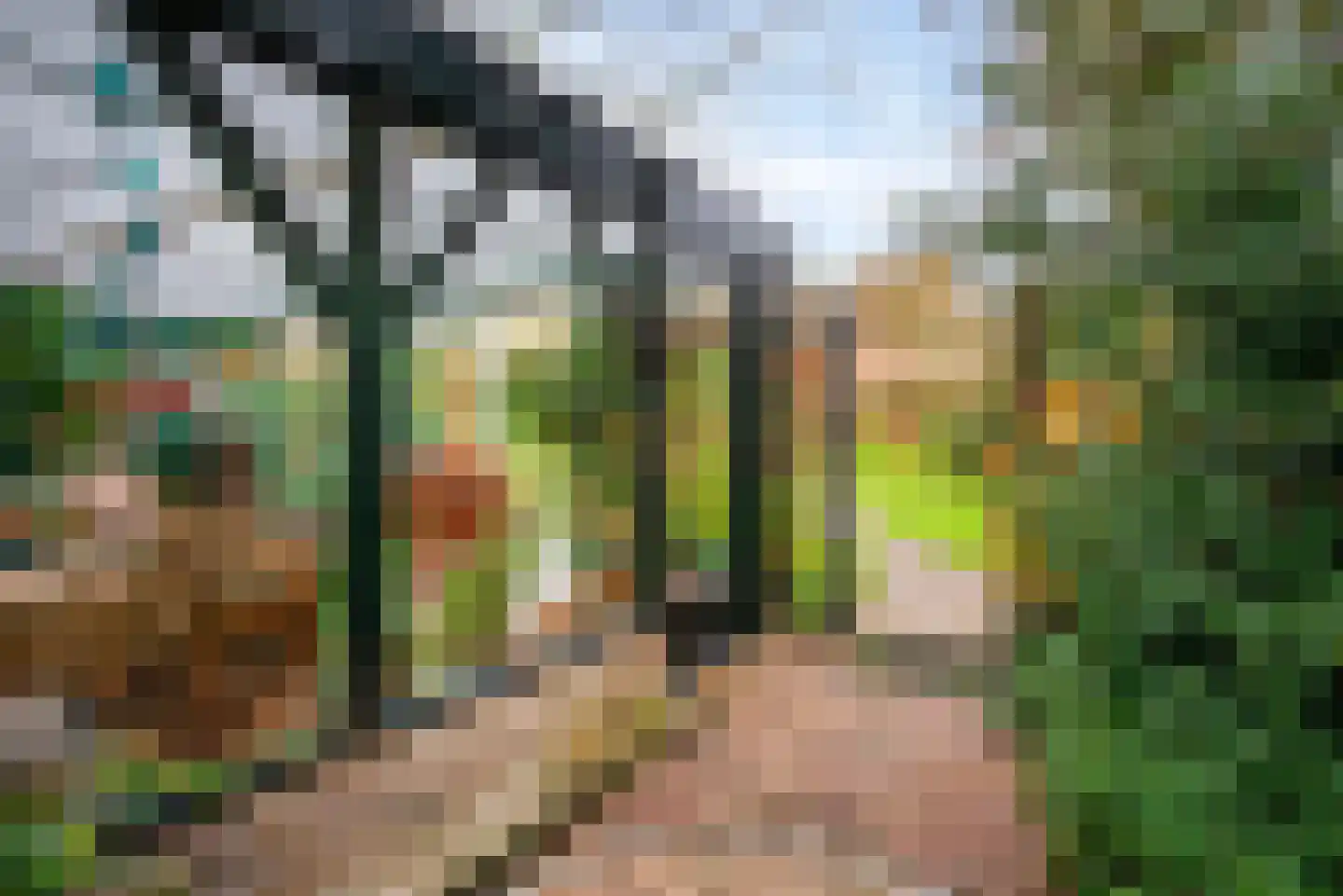 Moleneindsestraat 8 Hoeven thumbnail 43