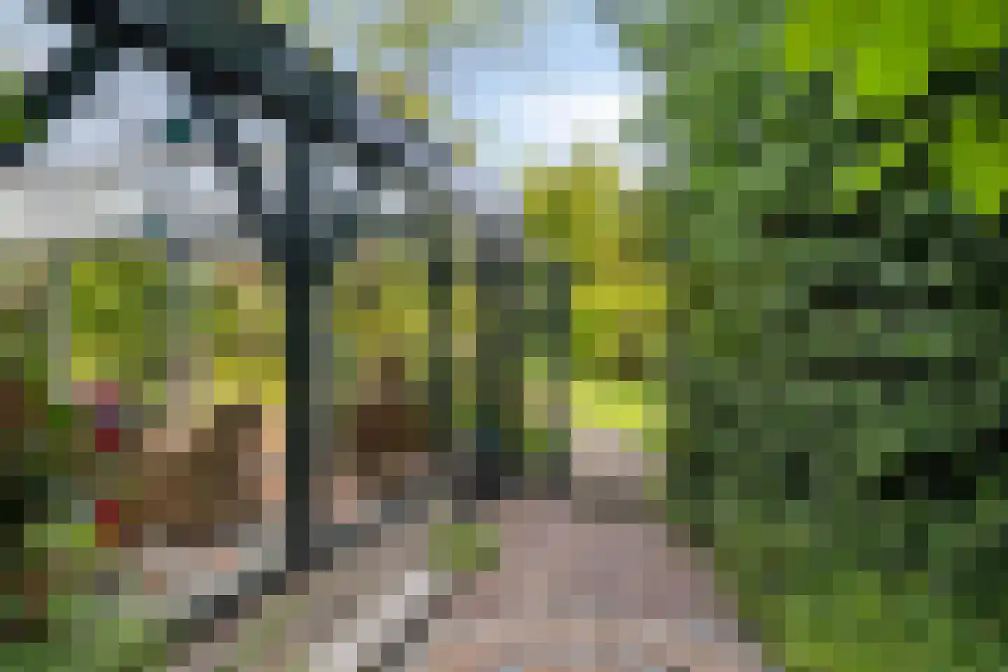Moleneindsestraat 8 Hoeven thumbnail 43