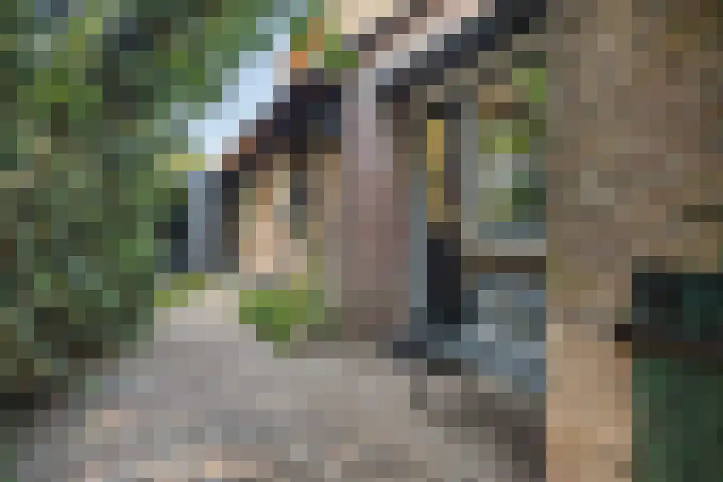 Moleneindsestraat 8 Hoeven thumbnail 44