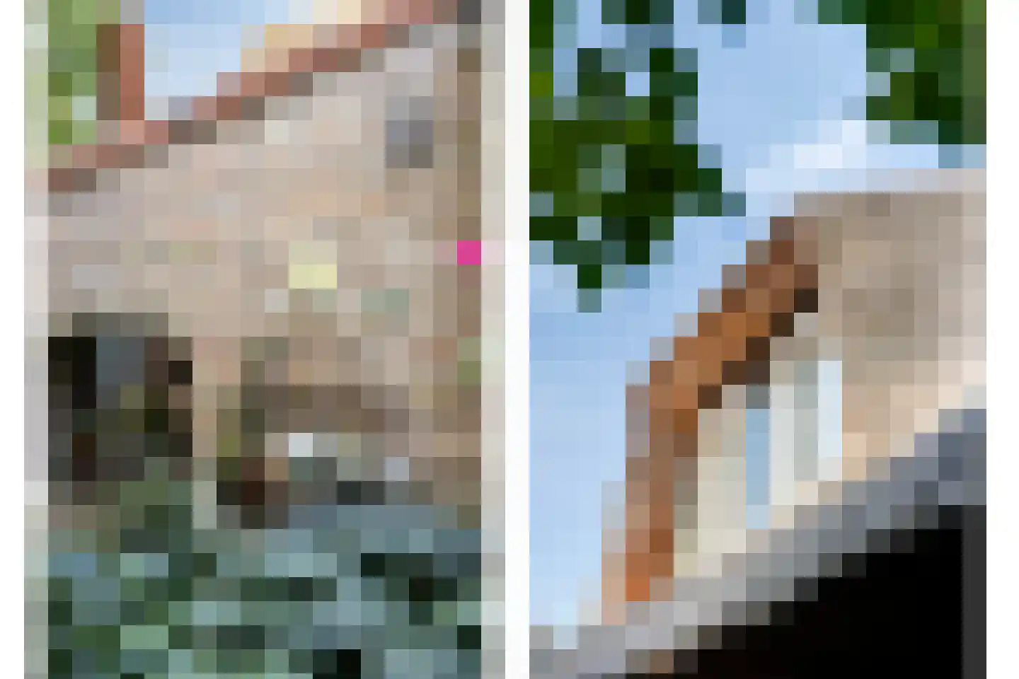 Moleneindsestraat 8 Hoeven thumbnail 45