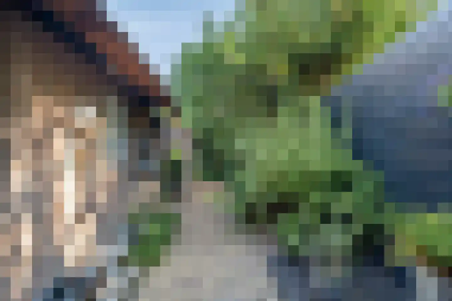 Moleneindsestraat 8 Hoeven thumbnail 46