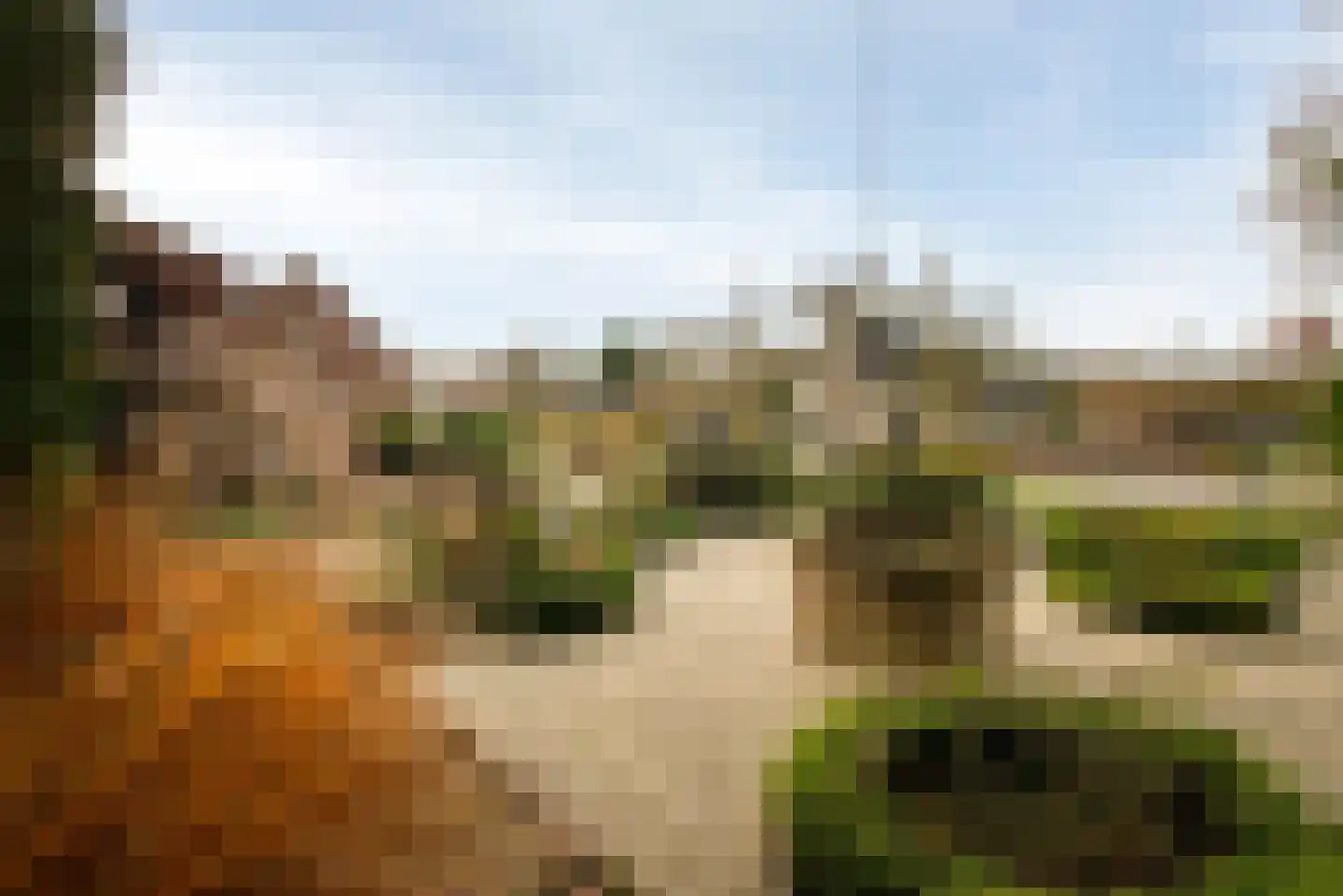 Moleneindsestraat 8 Hoeven thumbnail 47