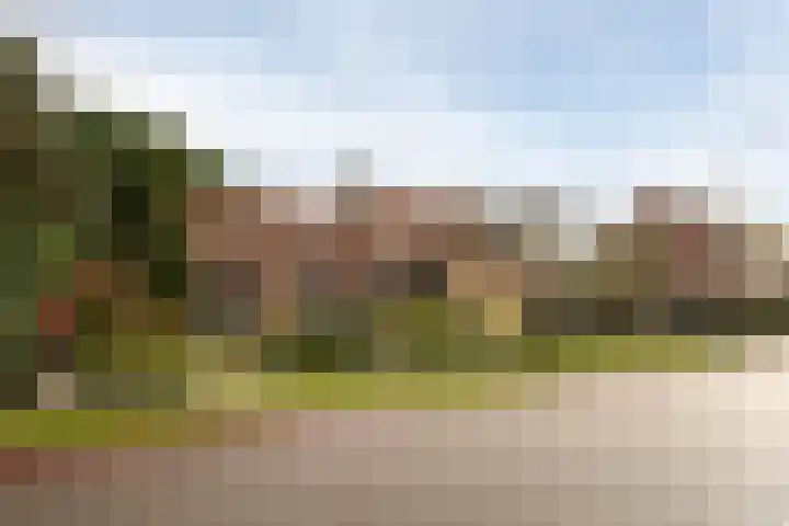 Moleneindsestraat 8 Hoeven thumbnail 48