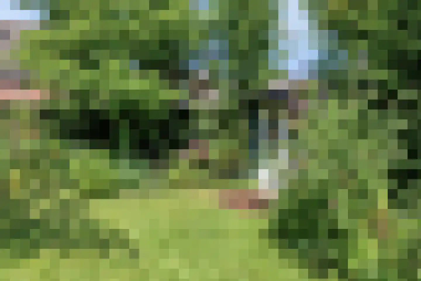 Moleneindsestraat 8 Hoeven thumbnail 48